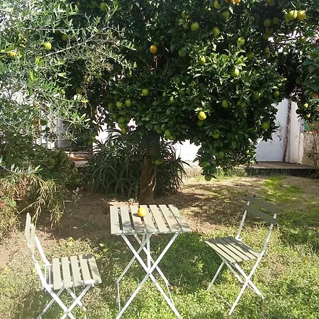 Gartenapartment Mit Terrasse Campsite *