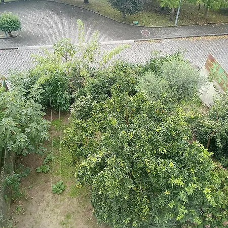 Gartenapartment Mit Terrasse Amarante