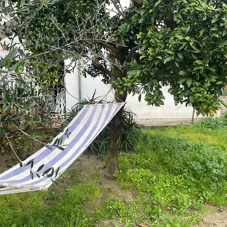 Gartenapartment Mit Terrasse Camping